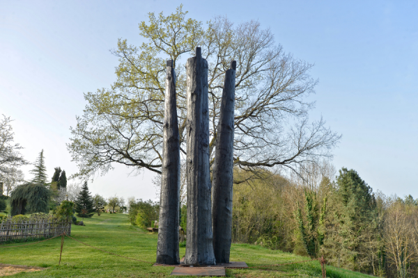 La forêt des Autres