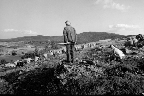 Raymond Depardon 